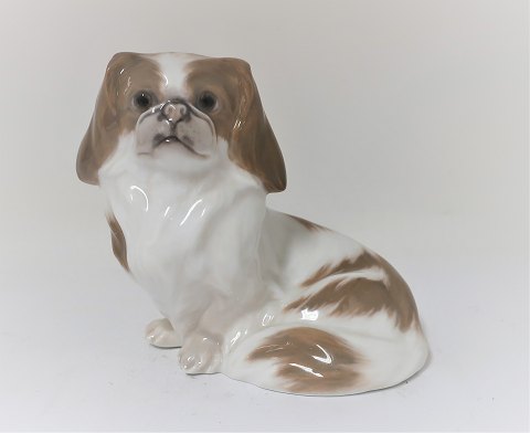 Royal Copenhagen. Figur. Pekinese. Modell 1453-1772. Höhe 12 cm. Vor 1923 
hergestellt. (1 Wahl)