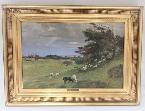 N P Mols 1859-1921. Malerei. Kühe in Rørvig. Gemalt 1906. Maßnahmen 32 * 50 cm. 
Abmessungen mit Rahmen 44 * 61 cm