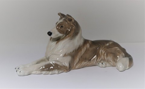 Königliches Kopenhagen. Porzellanfigur. Collie. Modell 1701. Länge 28 cm. (1 
Wahl)