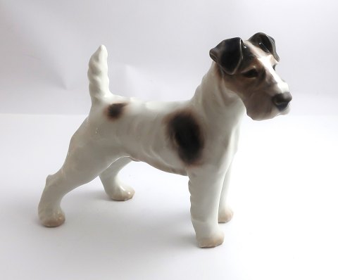 Bing & Grøndahl. Porcelænsfigur. Ruhåret Foxterrier. Model 1998. Højde 14 cm. (2 
sortering)