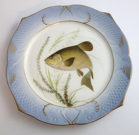 Royal Copenhagen. Angelgestell Nr. 19. Modell 3002. Durchmesser 22,5 cm. 
Cyprinus tinca. Hergestellt vor 1923. (1 Wahl)