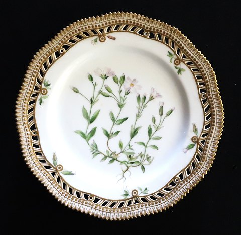 Royal Copenhagen. Flora Danica. Mittagessen Platte (3554). Produziert in 1894 - 1900. Durchmesser 22 cm. (1 Wahl) Cerastium alpinum