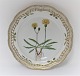 Royal Copenhagen. Flora Danica. Rundt serveringsfad
med gennembrudt kant. Model # 3527. Diameter 29 cm.  (1 sortering). Apargia 
Taraxaci Sm