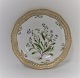 Royal Copenhagen. Flora Danica. Lunch plate (3554). Produced in 1894 - 1900. 
Diameter 22 cm. (1 quality). Myosotis caespitosa Schultz