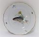 Meissen. Porcelain. Fish plate. Diameter 25 cm