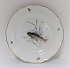 Meissen. Porcelæn. Fisketallerken. Diameter 25 cm