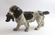 Bing & Grøndahl. Cocker Spaniel med bytte. Model 2061. Længde 24 cm. (2 
sortering).