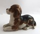 Royal Copenhagen. Porcelænsfigur. Liggende Beagle. Model 565 (2565). Længde 16 
cm. ( 1 sortering )