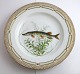 Royal Copenhagen. Fauna Danica. Fisketallerken. Middags tallerken. Model # 19 - 
3549. Diameter 25 cm. (1 sortering). Esox lucius