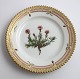 Royal Copenhagen, Flora Danica. Kage tallerken. Design #3552. Diameter 14,5 cm. 
(1 sortering). Silene acaulis L