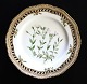 Royal Copenhagen. Flora Danica. Mittagessen Platte (3554). Produziert in 1894 - 1900. Durchmesser 22 cm. (1 Wahl) Cerastium alpinum
